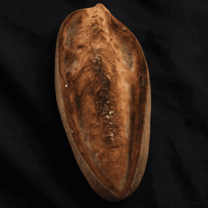 Desem Baguette Zeezout Rozemarijn